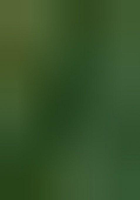 Girls Green Brocade Dress