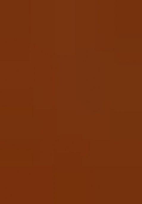 Girls Brown Floral Print Cotton Dress