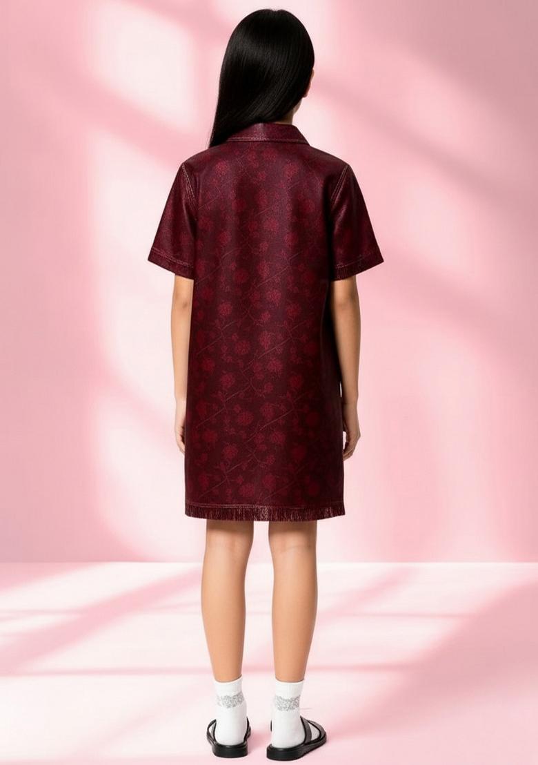 Girls Red Brocade Dress - Indya