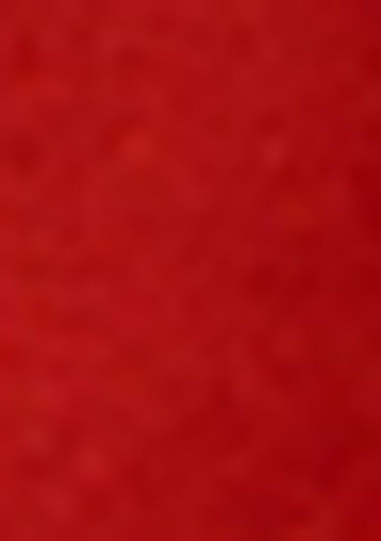 Girls Red Brocade Sharara Set