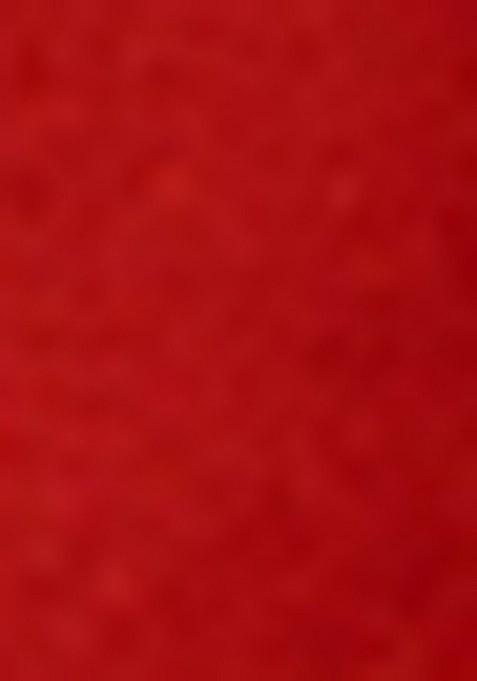 Girls Red Brocade Sharara Set