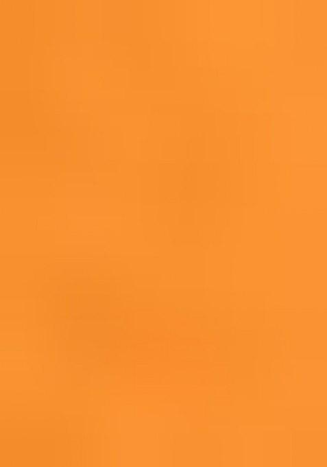 Girls Orange Floral Print Georgette Dress