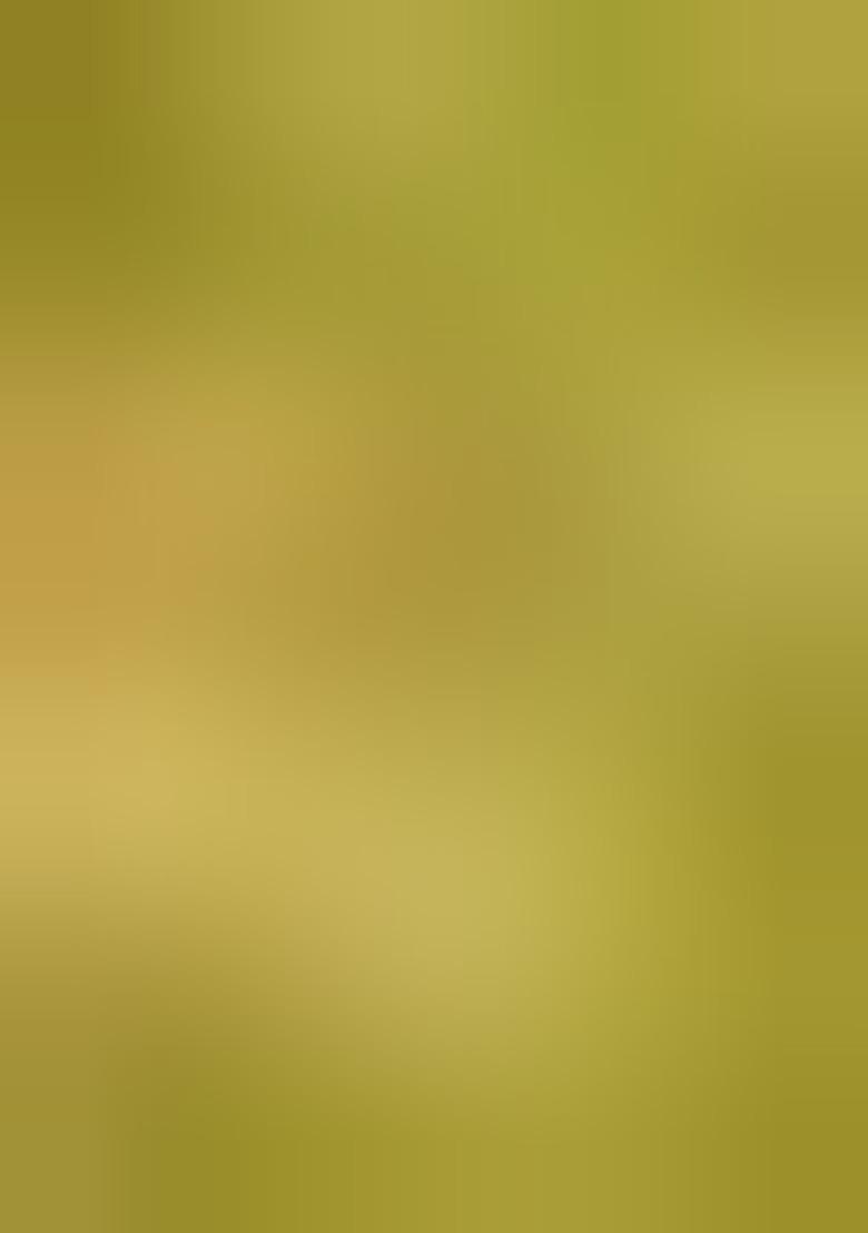 Girls Green Brocade Skirt - Indya