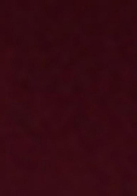 Girls Maroon Georgette Sequin Embroidered Blouse Fusion Set