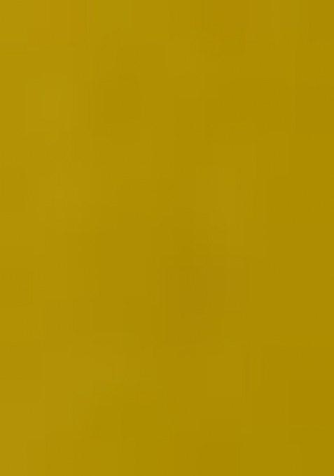 Girls Light Green Georgette Embellished Blouse Lehenga Set