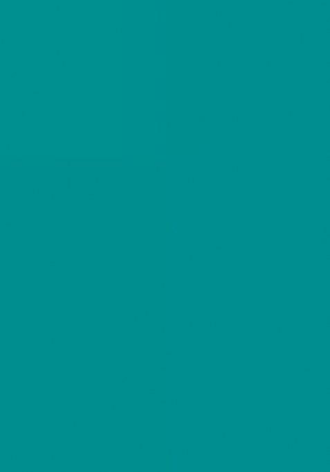 Girls Teal Green Satin Floral Printed Fusion Set