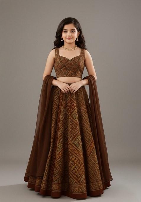 Girls Brown Crepe Embroidered Lehenga Set