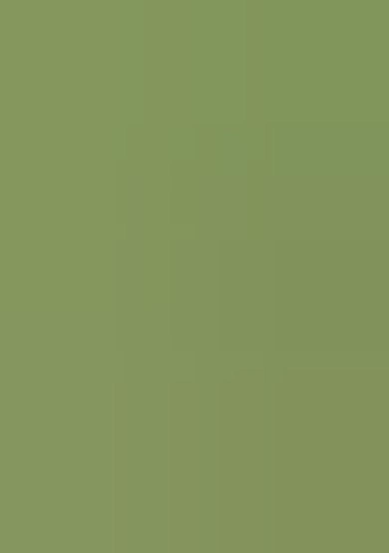 Girls Green Sequin Georgette Lehenga Set