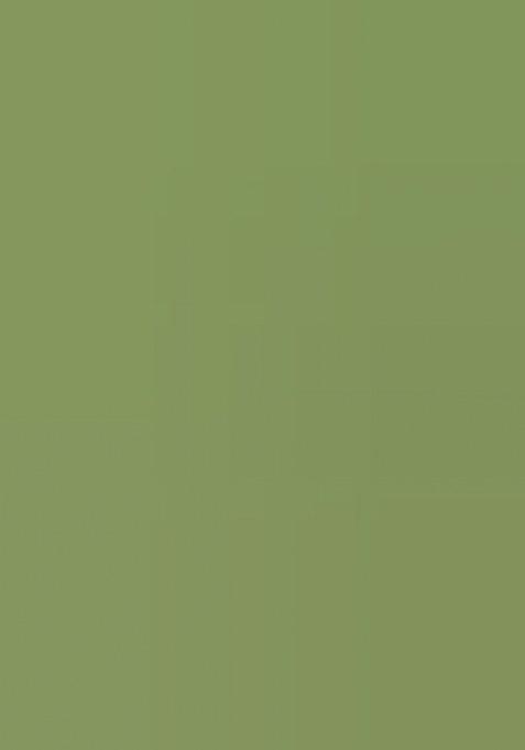 Girls Green Sequin Georgette Lehenga Set