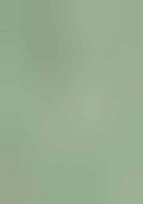 Girls Sage Green Chanderi Embroidered Lehenga Set