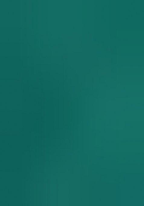 Girls Green Silk Embroidered Lehenga Set