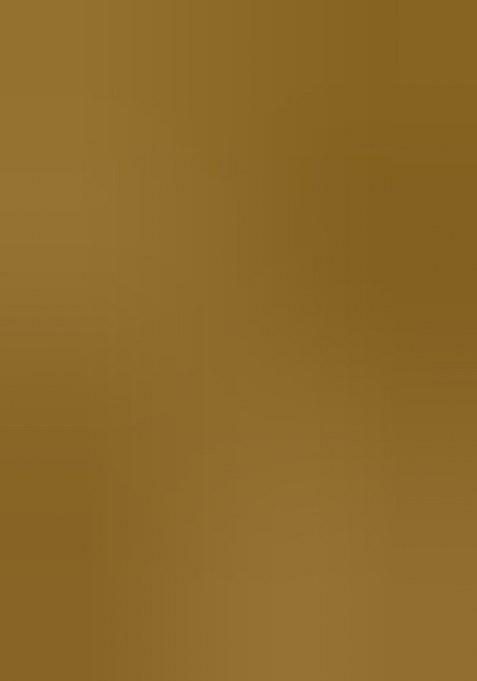 Girls Golden Sequin Blouse Georgette Lehenga Set