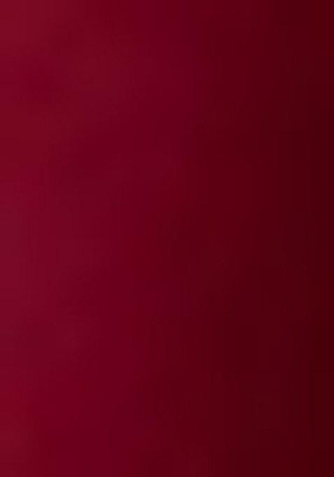 Girls Wine Embroidered Georgette Lehenga Set