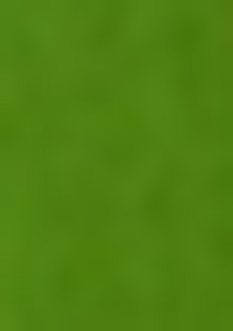 Girls Green Embroidered Chanderi Lehenga Set