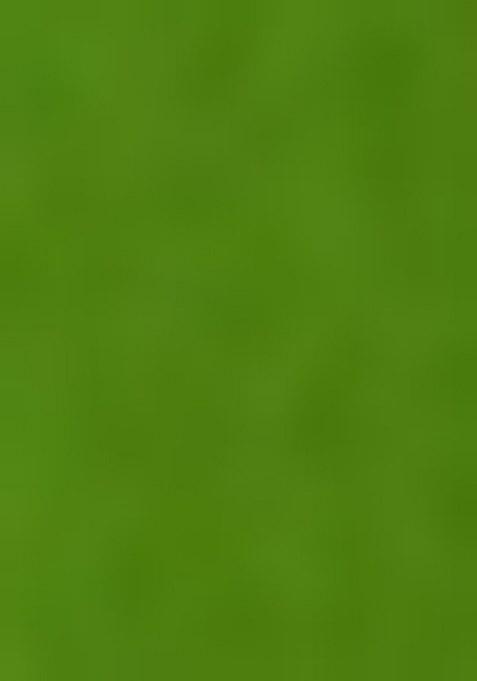 Girls Green Embroidered Chanderi Lehenga Set