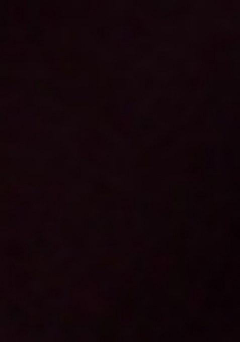 Girls Black Embellished Georgette Fusion Set