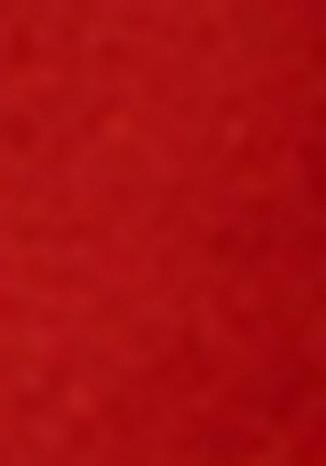 Girls Red Brocade Sharara Set