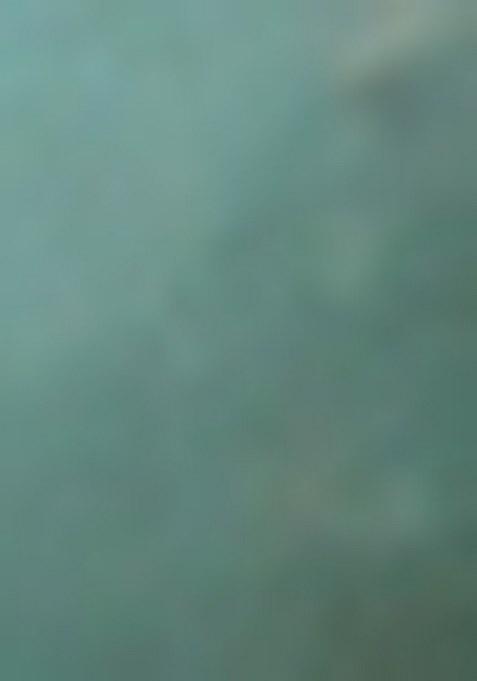 Girls Blue Floral Print Sharara Set