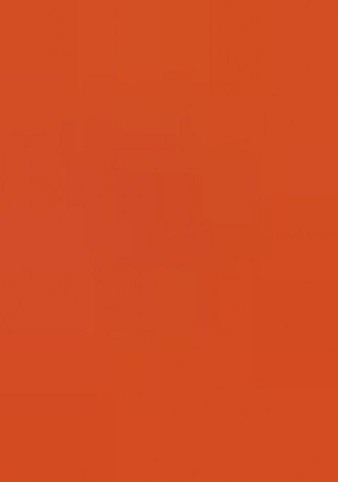 Girls Orange Embroidered Georgette Anarkali Set