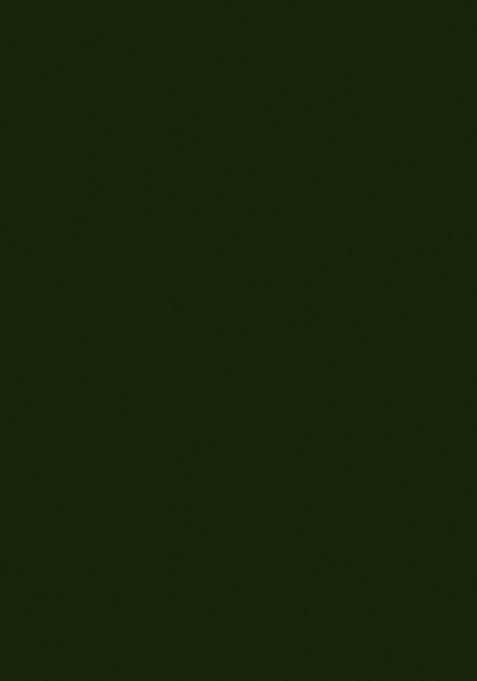 Girls Green Embellished Georgette Fusion Set