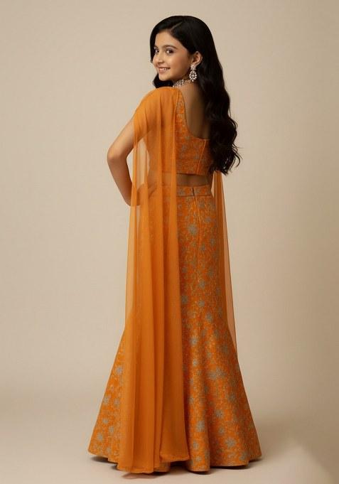 Girls Orange Embroidered Chinon Lehenga Set