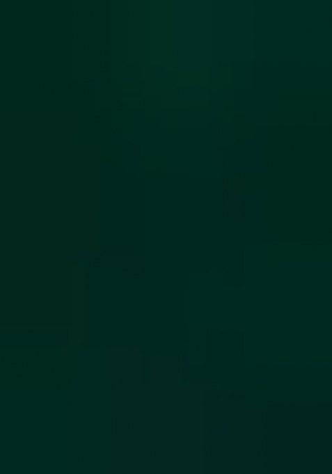 Girls Green Embellished Net Lehenga Set