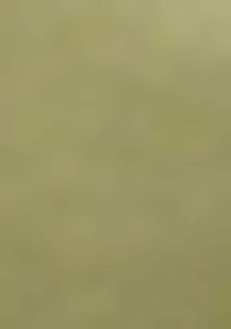 Girls Mehendi Embroidered Silk Kurta Set - Indya