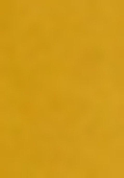 Girls Yellow Embroidered Georgette Lehenga Set