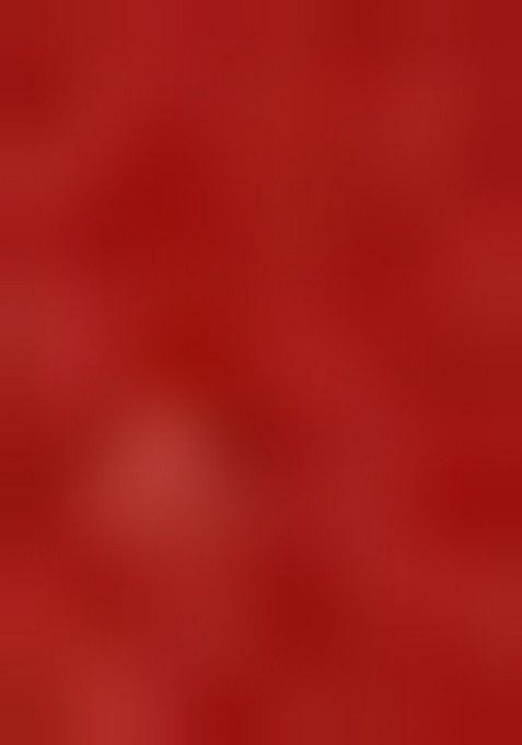 Girls Red Embroidered Silk Lehenga Set