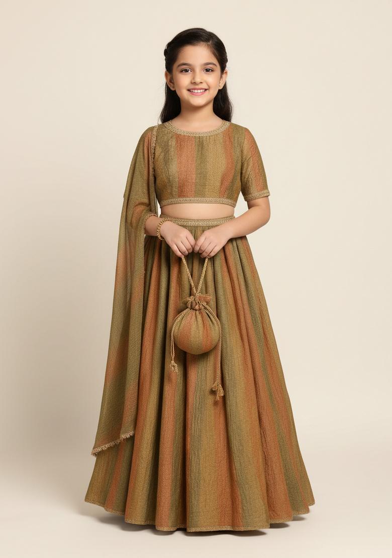 Girls Multicolor Textured Tissue Lehenga Set