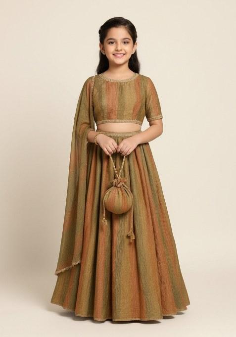 Girls Multicolor Textured Tissue Lehenga Set