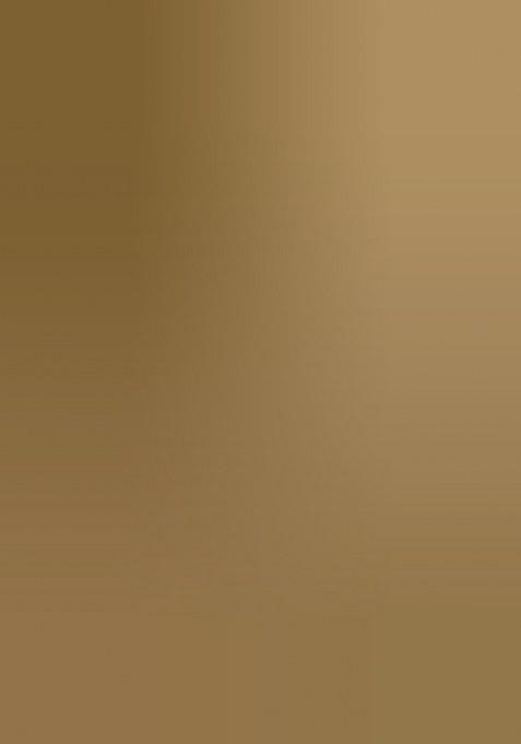 Girls Multicolor Textured Tissue Lehenga Set