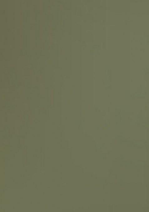 Girls Green Floral Print Cotton Co-Ord Set