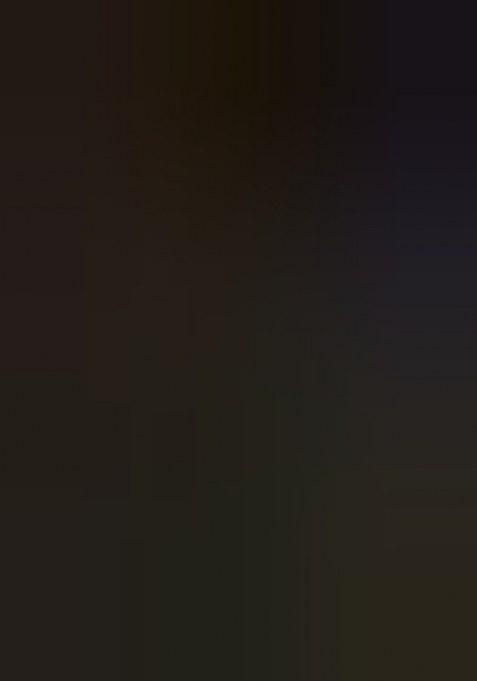 Girls Golden Brocade Dress