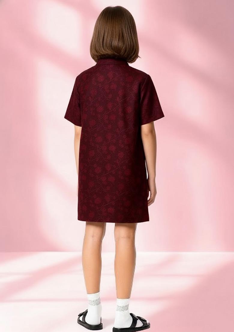 Girls Red Brocade Dress - Indya