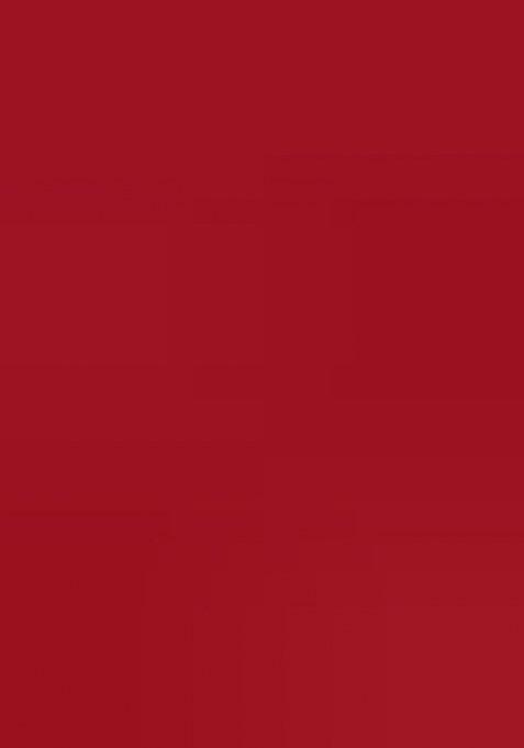 Girls Red Brocade Dress