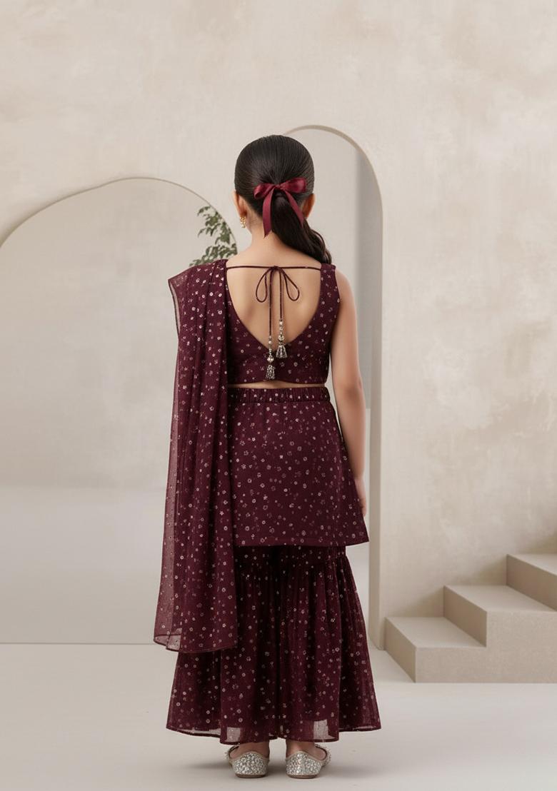 Girls Brown Embroidered Georgette Fusion Set - Indya