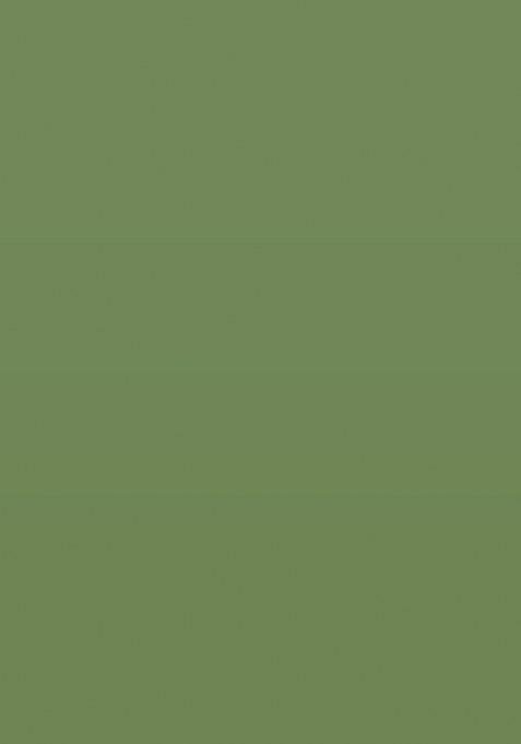 Girls Light Green Floral Print Tissue Lehenga Set