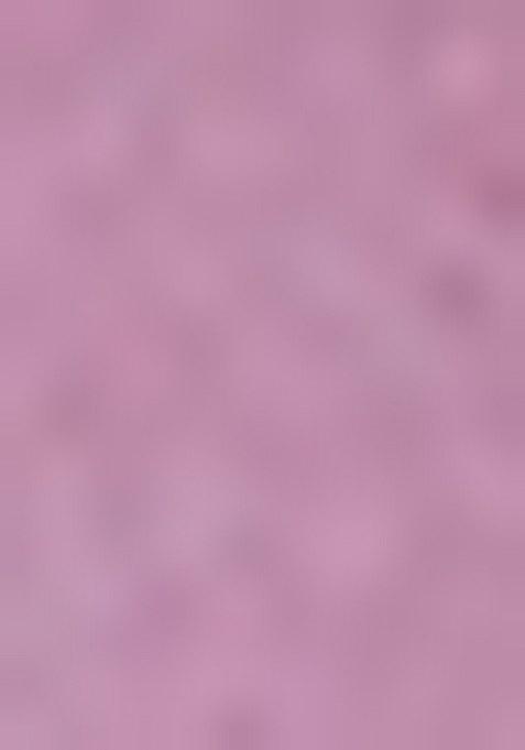 Girls Purple Embroidered Net Sharara Set