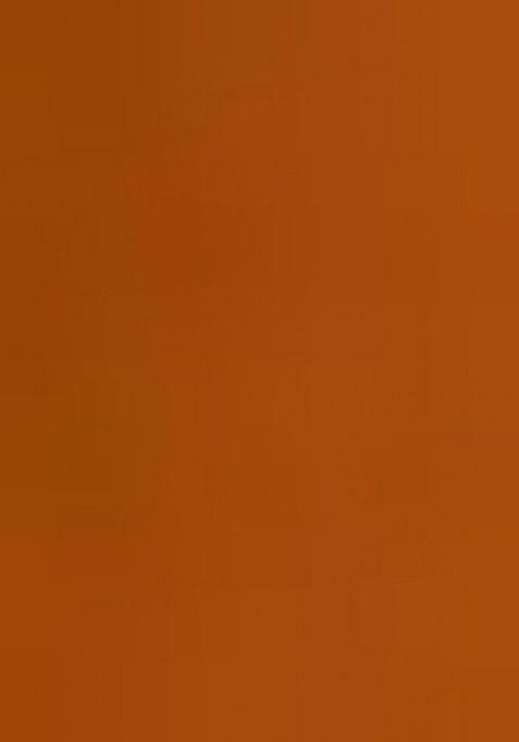 Girls Yellow Floral Print Georgette Sharara Set