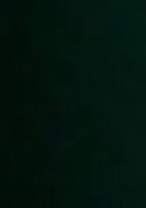 Girls Green Sequin Net Sharara Set