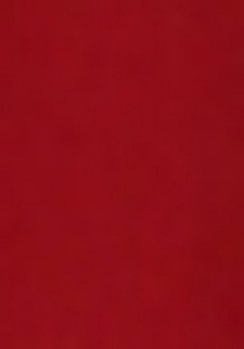 Girls Red Embroidered Georgette Sharara Set