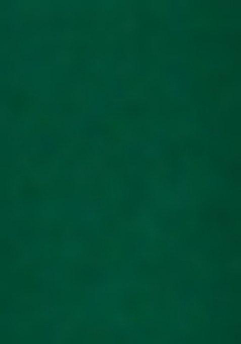 Girls Green Embroidered Georgette Sharara Set