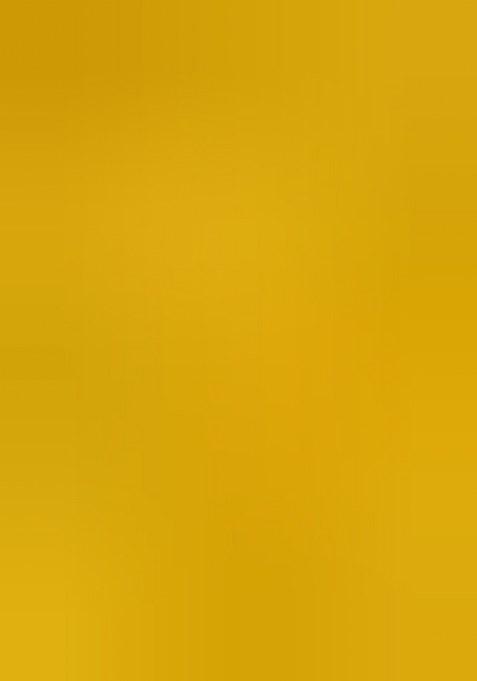 Girls Yellow Embroidered Organza Lehenga Set