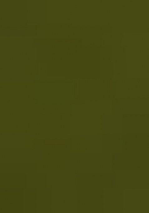 Girls Green Floral Print Georgette Lehenga Set