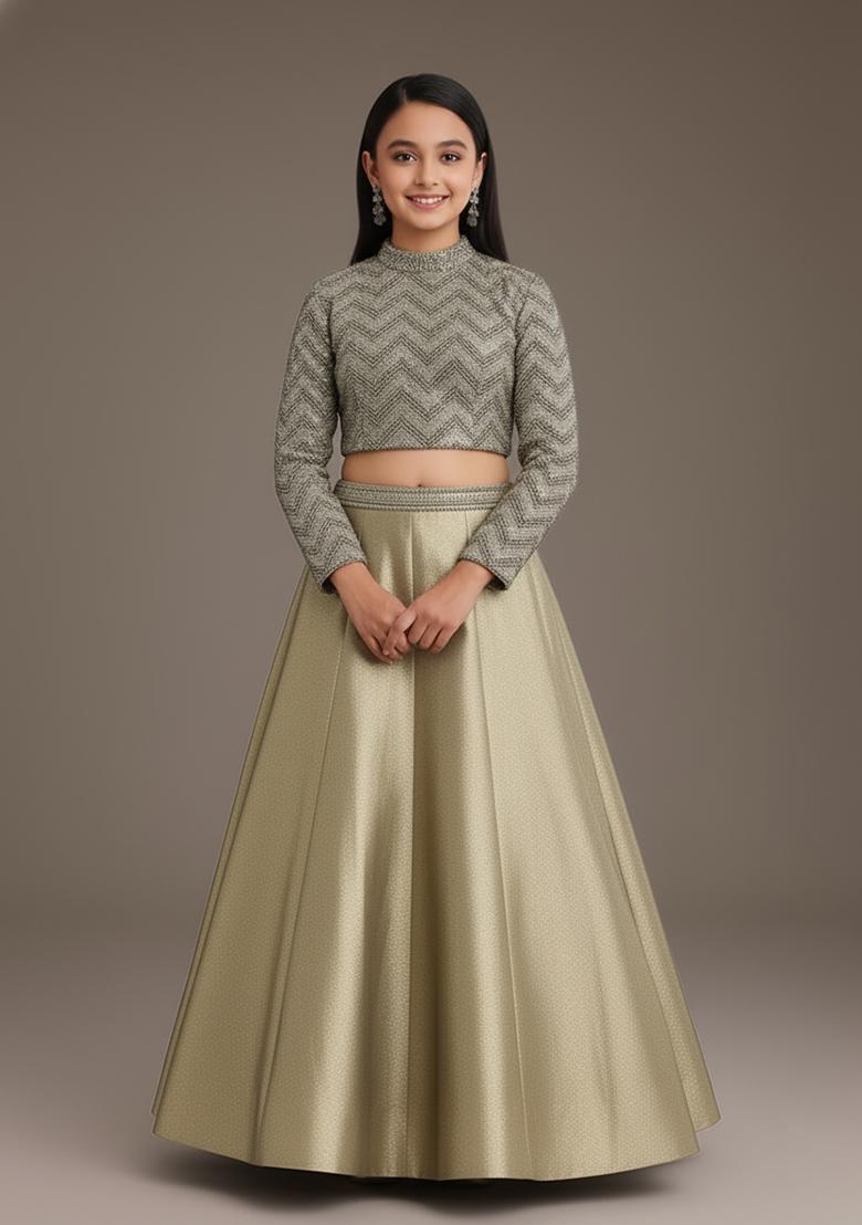 Girls Grey Embroidered Georgette Lehenga Set - Indya