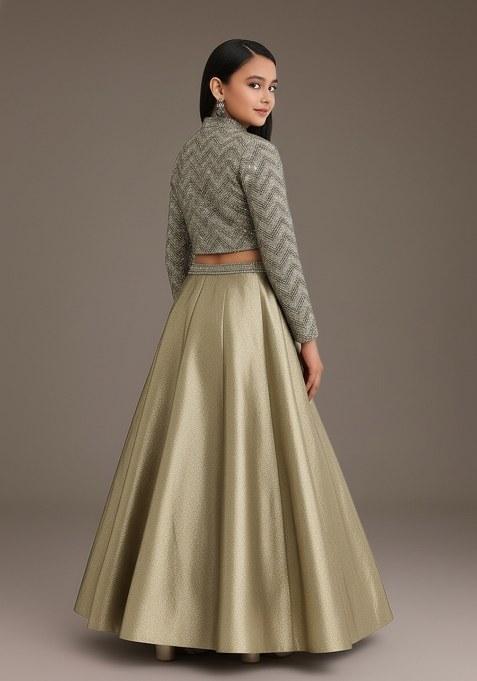 Girls Grey Embroidered Georgette Lehenga Set