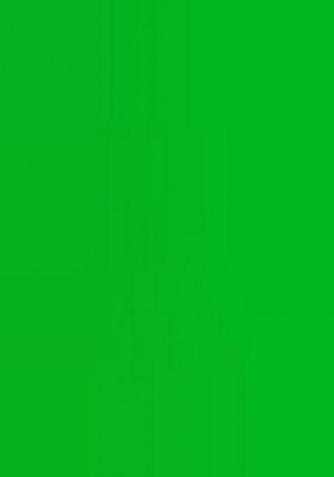 Girls Green Floral Print Georgette Lehenga Set