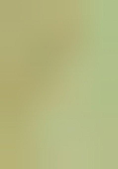 Girls Pista Green Floral Print Silk Lehenga Set