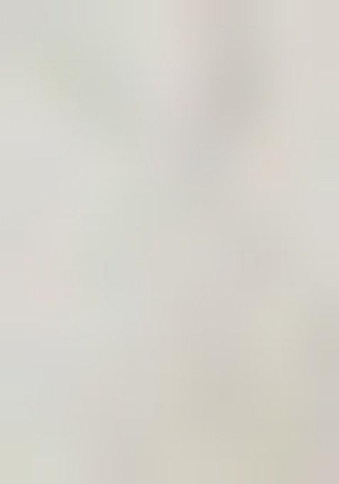 Girls Multicolor Peacock Print Chinon Lehenga Set